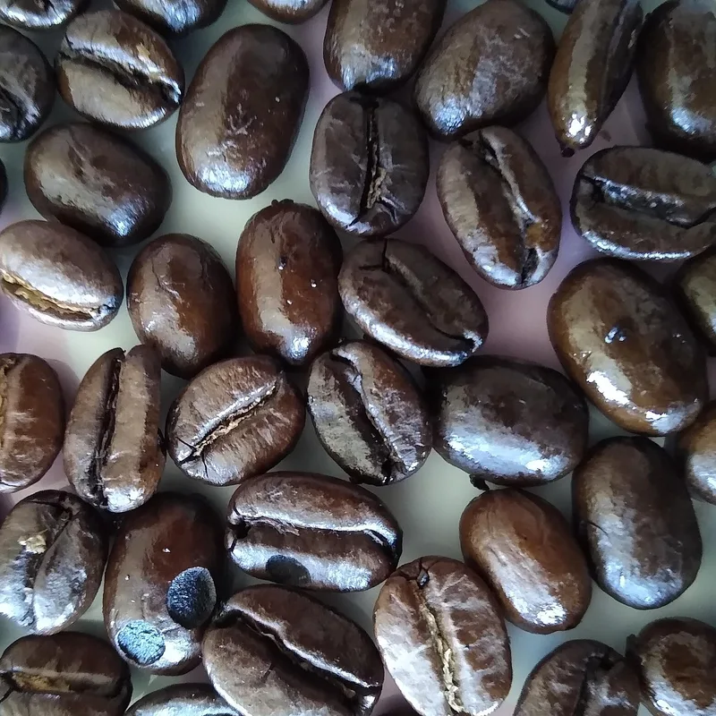 Gulmi Arabica Whole Bean — 250g