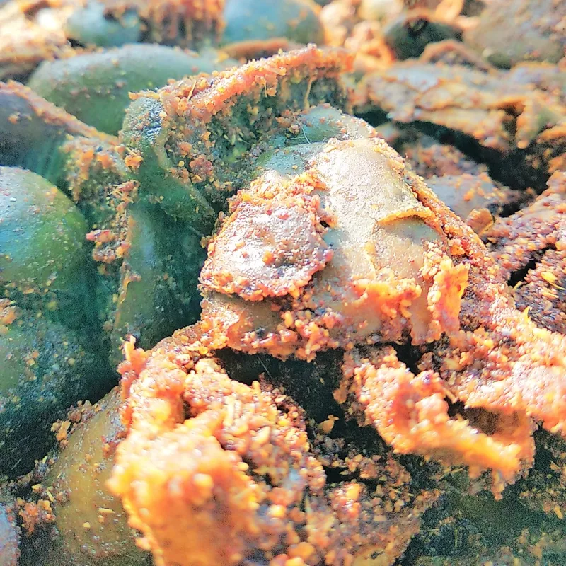 Lapsi & Mango Combined — 400g